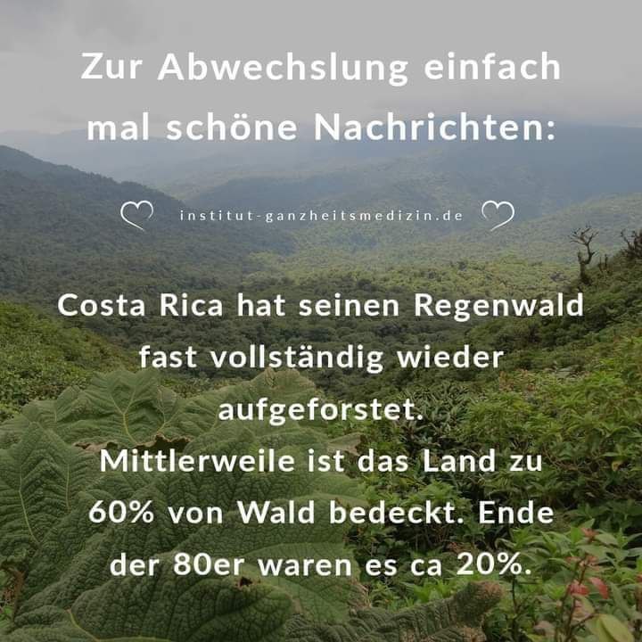Schöne Nachrichten