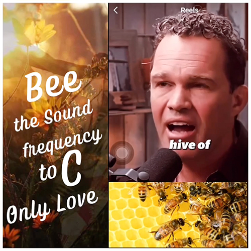 Bee Power