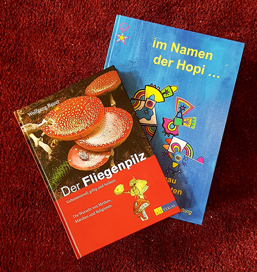 Im Namen der Hopi
