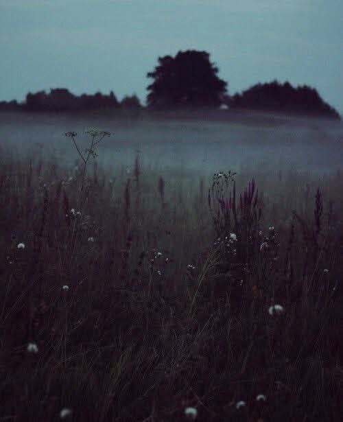 Nebel und Ahnen